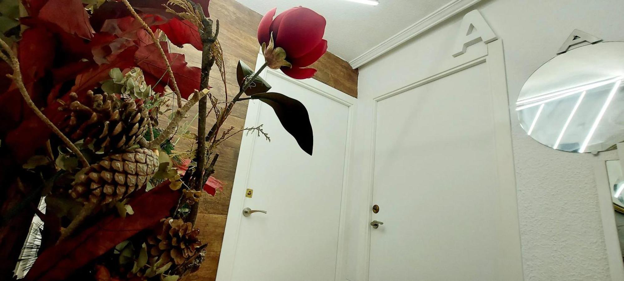 Modern Apartment In Alacant 60M² Wheelchair Accessible Alicante Luaran gambar